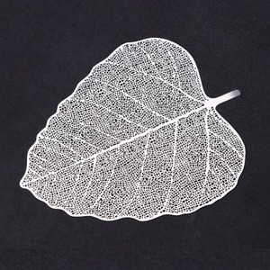 [4024090] 스테인레스 나뭇잎형 거름망